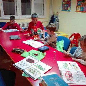 Engleski za decu, osnovci Bunny school