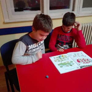 Engleski za decu, osnovci Bunny school